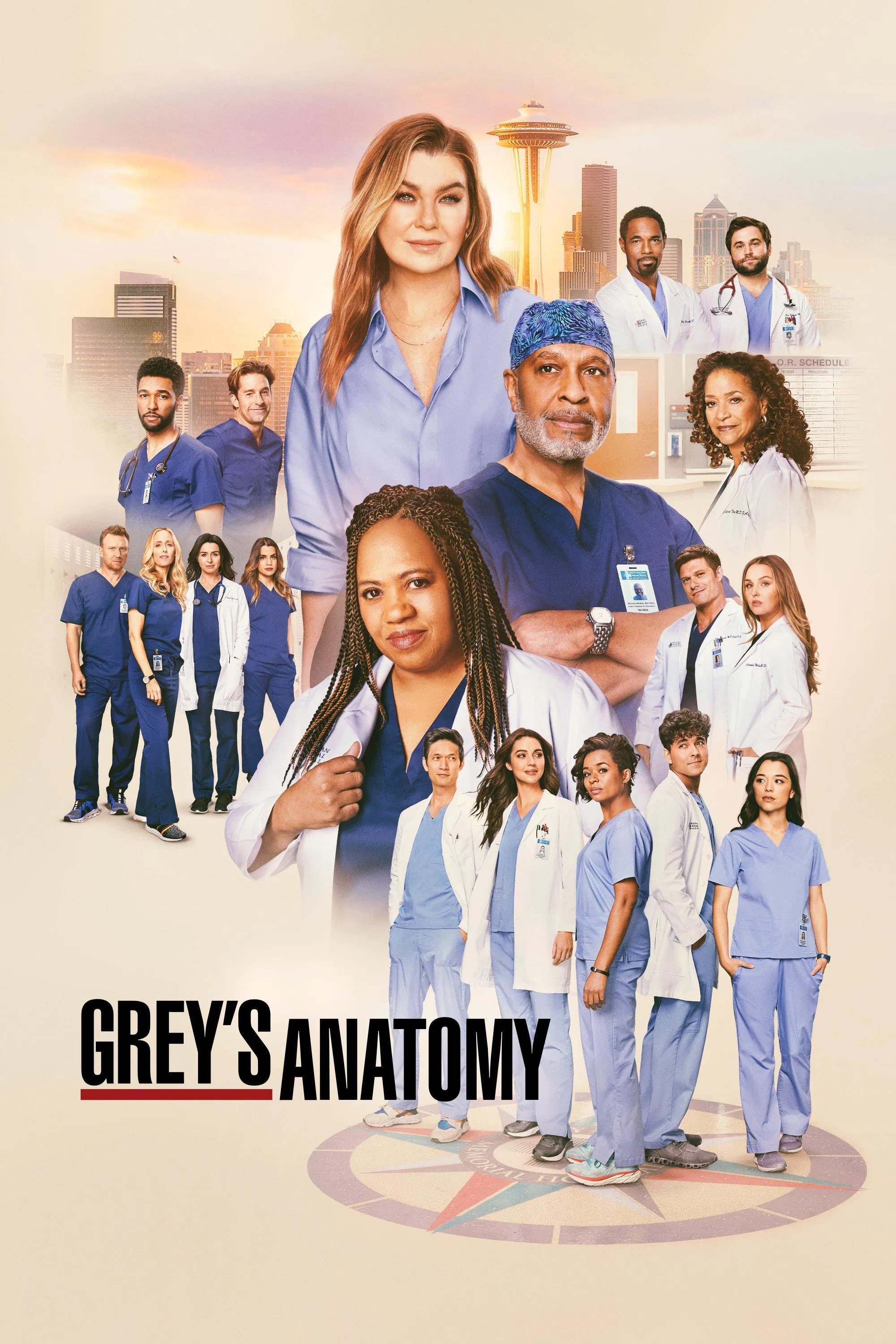 Grey's Anatomy: Season 21 poster