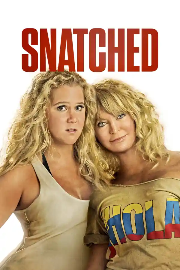 Snatched streaming release poster